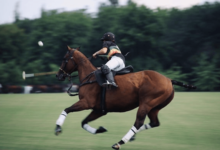 How many players are on each polo team?