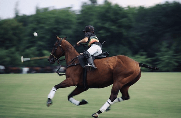 How many players are on each polo team?