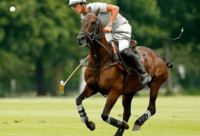 What are the rules of polo regarding mallet usage and gameplay?