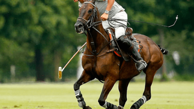 What are the rules of polo regarding mallet usage and gameplay?
