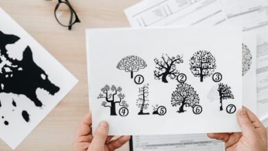 assessment of six identifiers