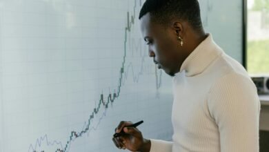 strategic insight numeric codes